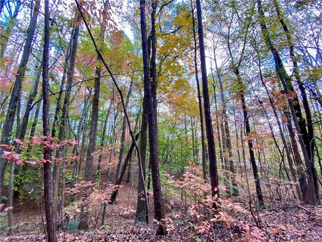 0 North Point Parkway, Alpharetta, GA 30022