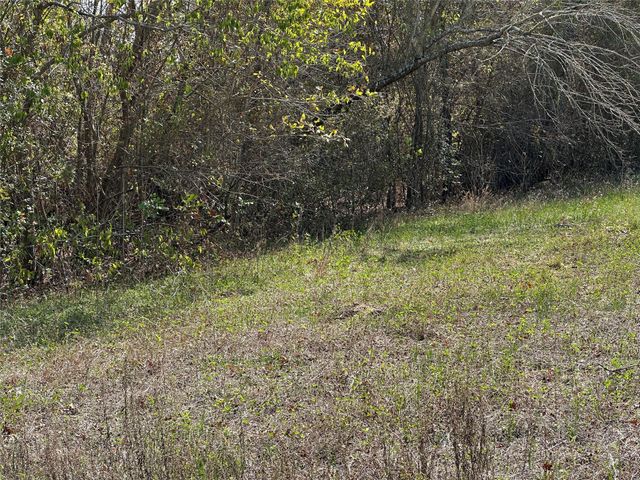 709 Locust ST, Bastrop, TX 78602