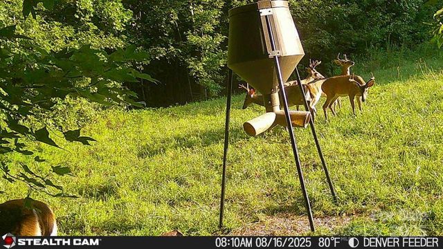 6221 King Wilkinson Road, Denver, NC 28037