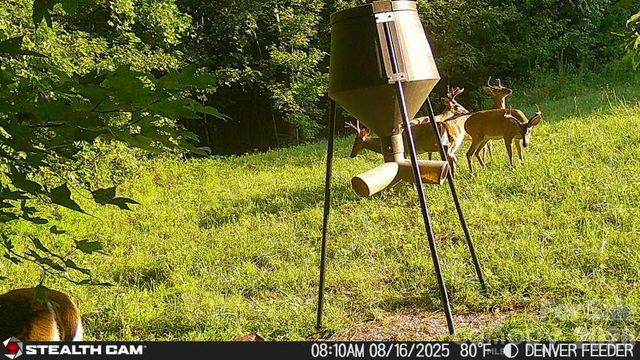 6221 King Wilkinson Road, Denver, NC 28037