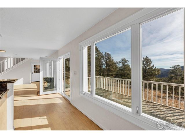 148 Hickok Trl, Ward, CO 80481