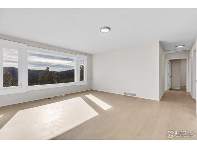 148 Hickok Trl, Ward, CO 80481