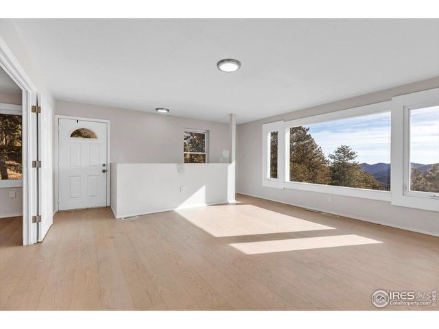 148 Hickok Trl, Ward, CO 80481