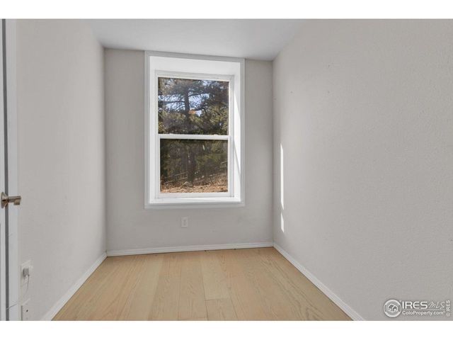 148 Hickok Trl, Ward, CO 80481