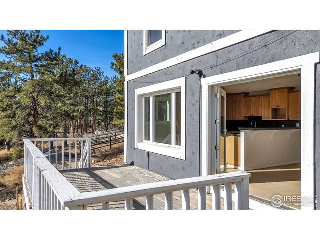 148 Hickok Trl, Ward, CO 80481