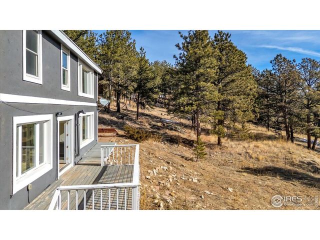 148 Hickok Trl, Ward, CO 80481