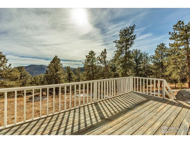 148 Hickok Trl, Ward, CO 80481
