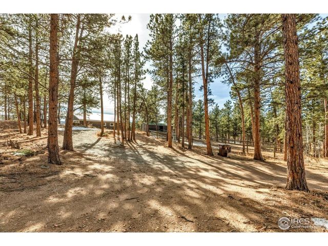 148 Hickok Trl, Ward, CO 80481