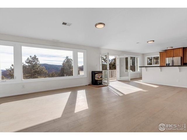 148 Hickok Trl, Ward, CO 80481