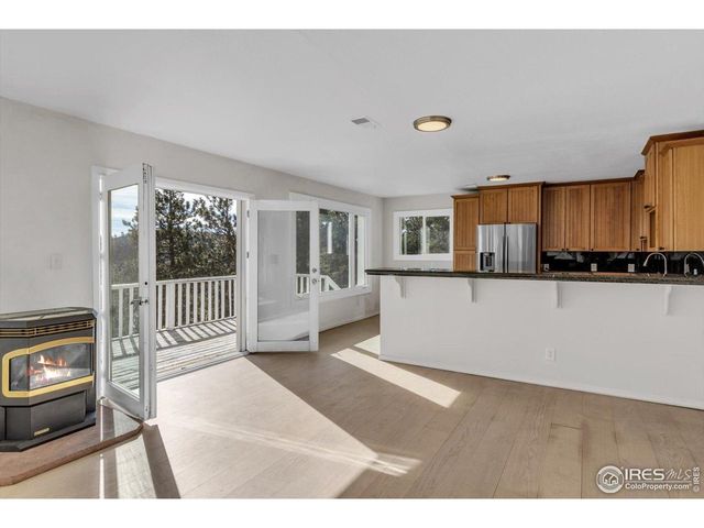 148 Hickok Trl, Ward, CO 80481