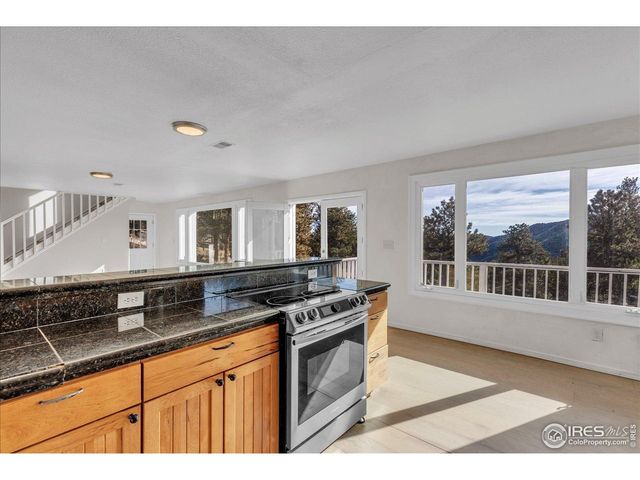 148 Hickok Trl, Ward, CO 80481