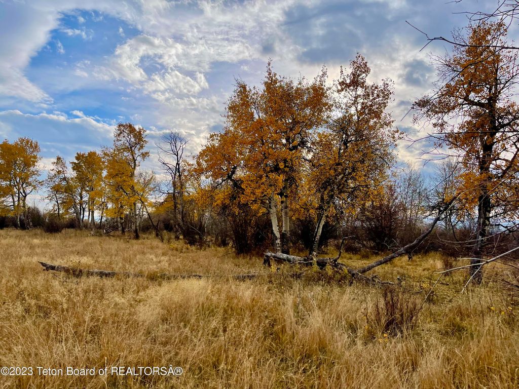 S BATES Road, Driggs, ID 83422