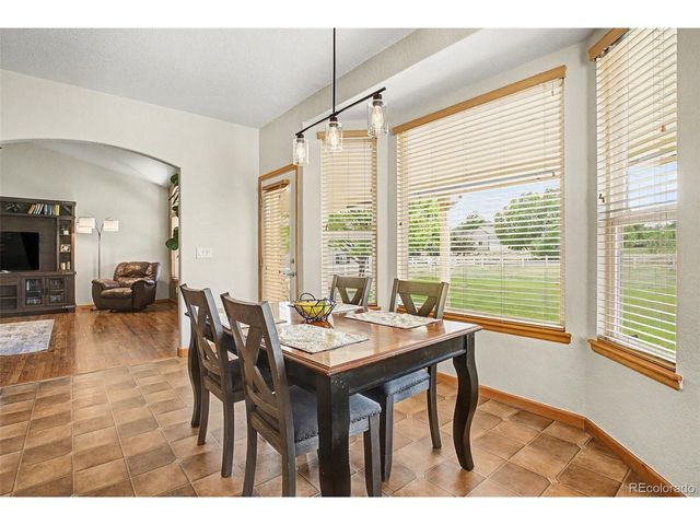 16555 Umpire Ct, Hudson, CO 80642
