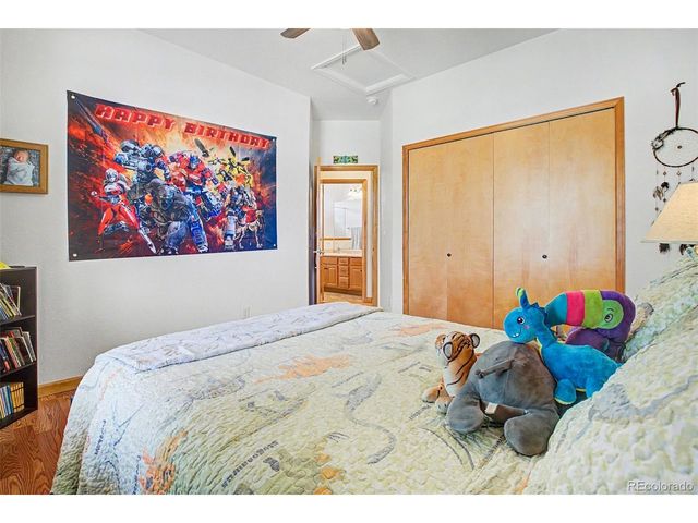 16555 Umpire Ct, Hudson, CO 80642