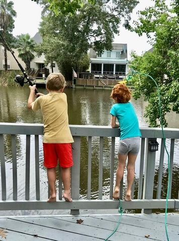 781 Lake Frances Drive, Charleston, SC 29412
