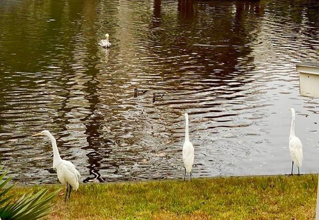 781 Lake Frances Drive, Charleston, SC 29412