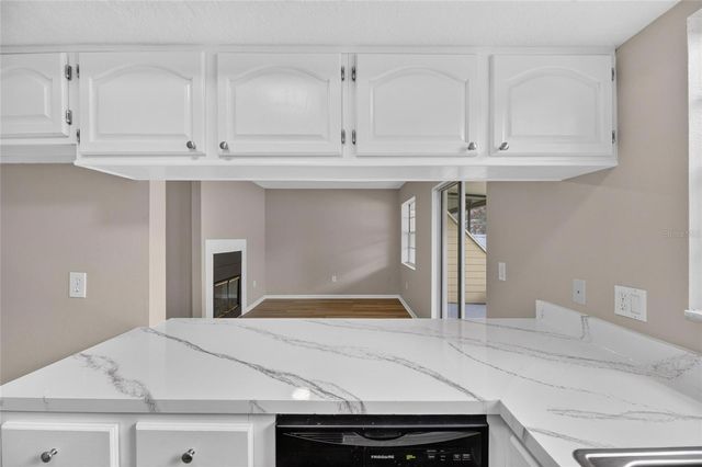 1214 BIG PINE DRIVE, Valrico, FL 33596
