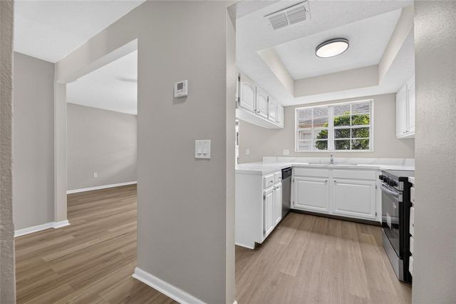 1214 BIG PINE DRIVE, Valrico, FL 33596