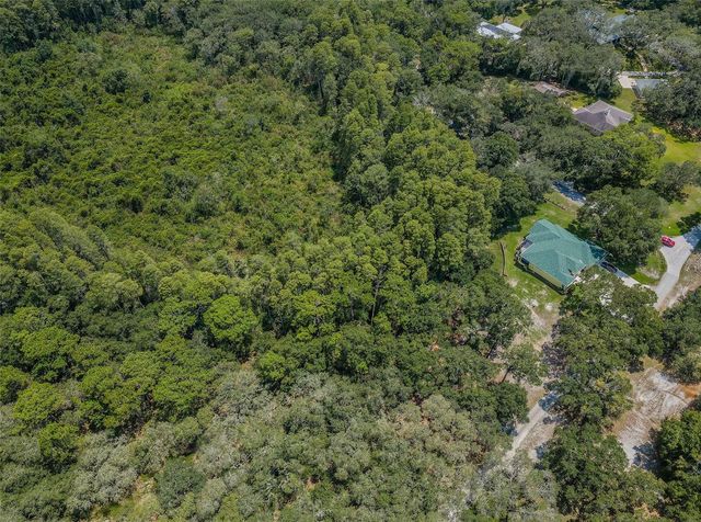 COQUI COURT, Odessa, FL 33556