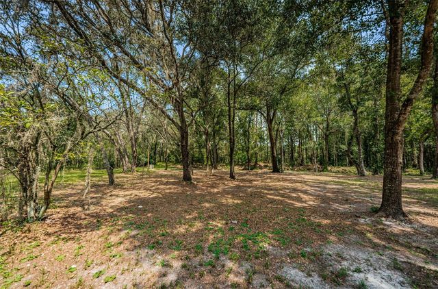 COQUI COURT, Odessa, FL 33556