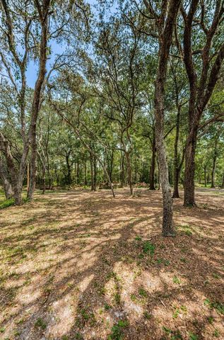 COQUI COURT, Odessa, FL 33556