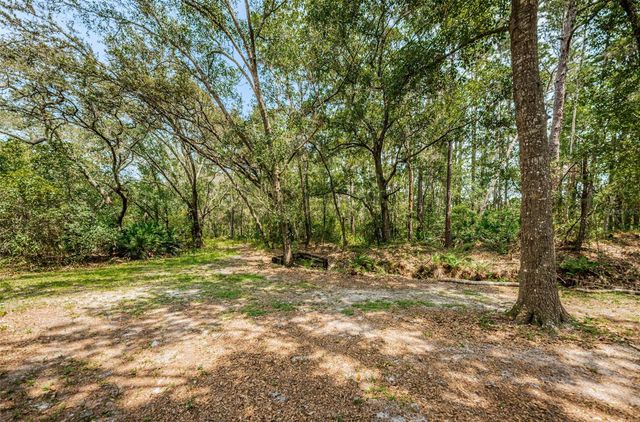 COQUI COURT, Odessa, FL 33556