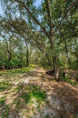 COQUI COURT, Odessa, FL 33556