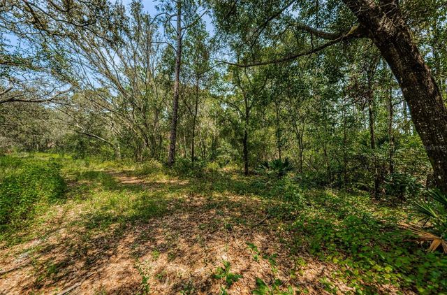 COQUI COURT, Odessa, FL 33556