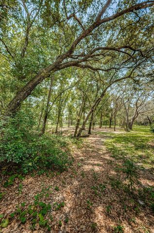 COQUI COURT, Odessa, FL 33556