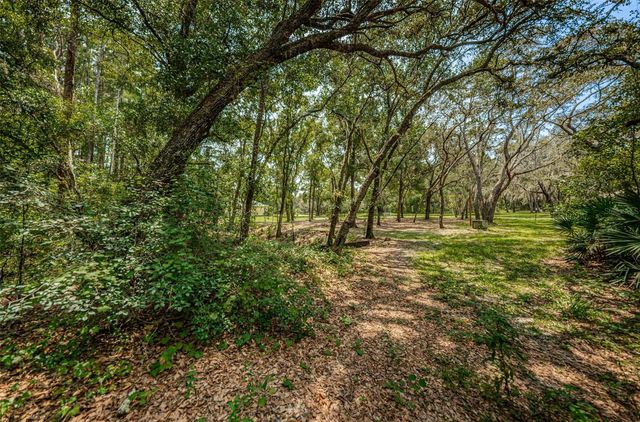 COQUI COURT, Odessa, FL 33556