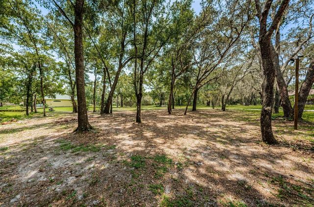 COQUI COURT, Odessa, FL 33556