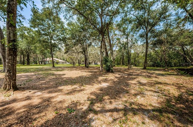 COQUI COURT, Odessa, FL 33556