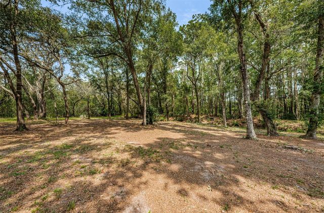 COQUI COURT, Odessa, FL 33556