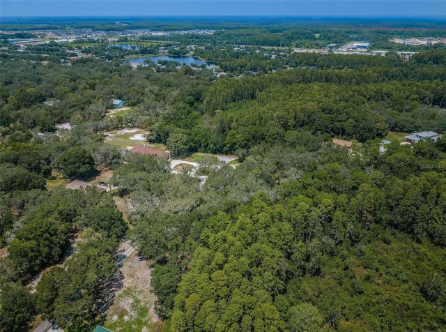 COQUI COURT, Odessa, FL 33556