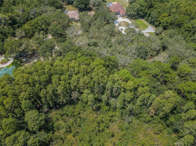 COQUI COURT, Odessa, FL 33556