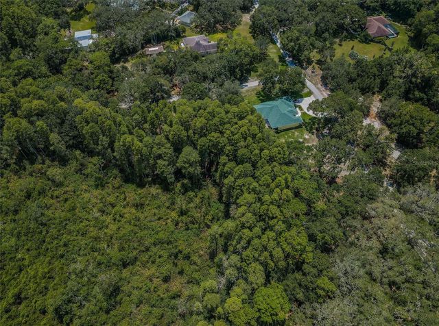 COQUI COURT, Odessa, FL 33556