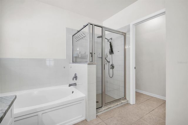 13028 TERRACE SPRINGS DRIVE, Temple Terrace, FL 33637