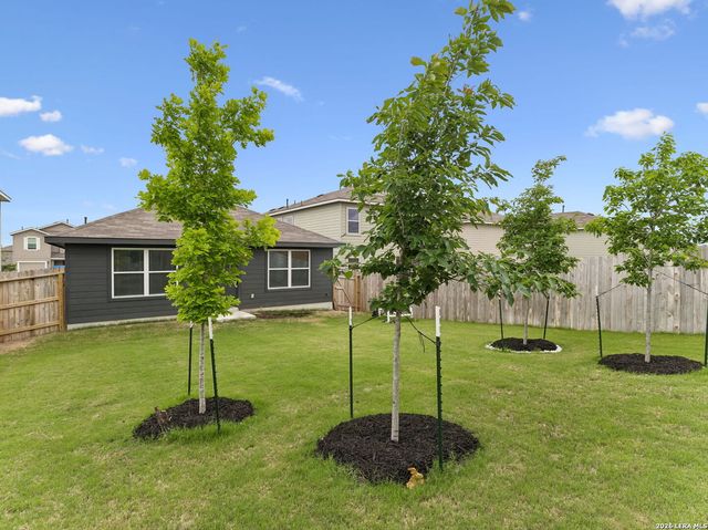 5343 Trinity Run, San Antonio, TX 78253