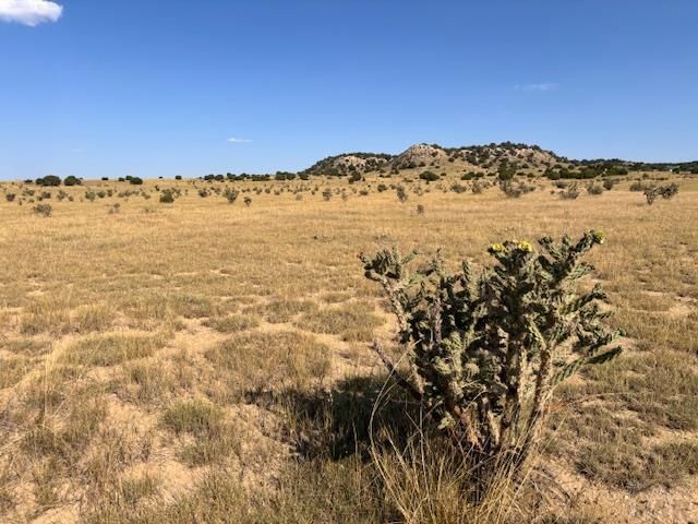 Par 60 Railroad Spring Dr, Pueblo, CO 81004