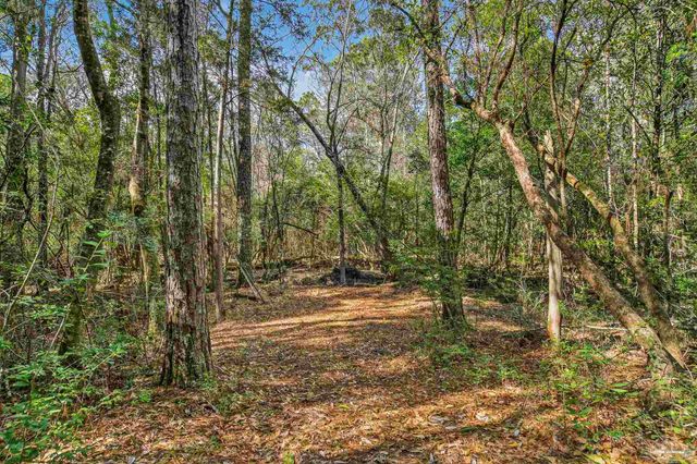 2248 Wallace Lake Rd, Pace, FL 32571