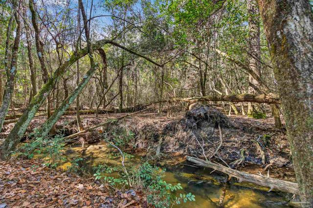 2248 Wallace Lake Rd, Pace, FL 32571