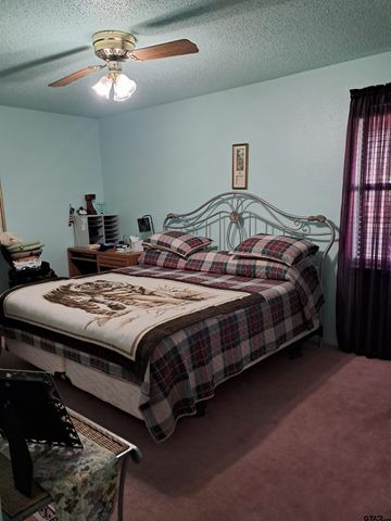 3781 Farm to Market 2869, Hawkins, TX 75765