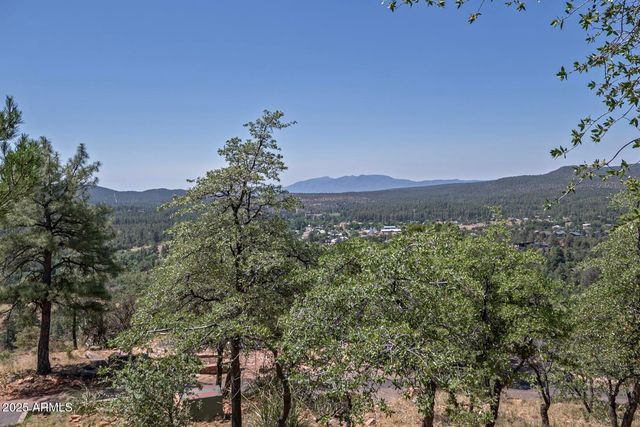 4658 Canyon Vista Drive, Pine, AZ 85544