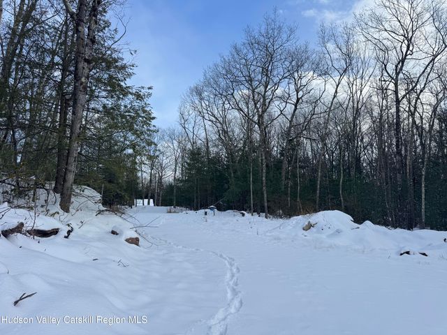 171 Renner Road, Mountain Dale, NY 12763