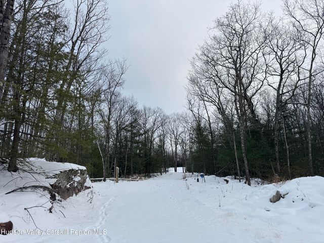 171 Renner Road, Mountain Dale, NY 12763