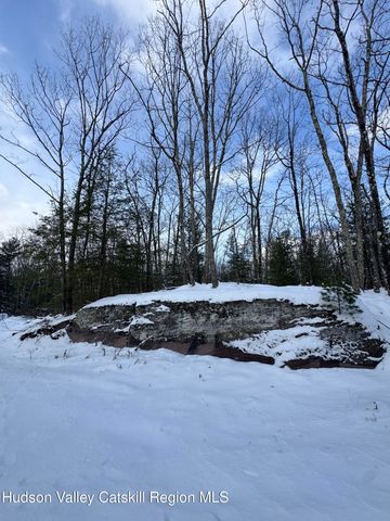 171 Renner Road, Mountain Dale, NY 12763