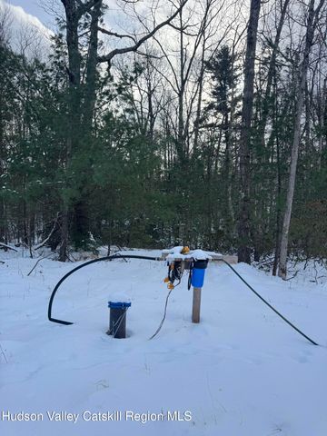 171 Renner Road, Mountain Dale, NY 12763