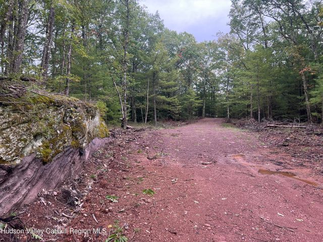 171 Renner Road, Mountain Dale, NY 12763