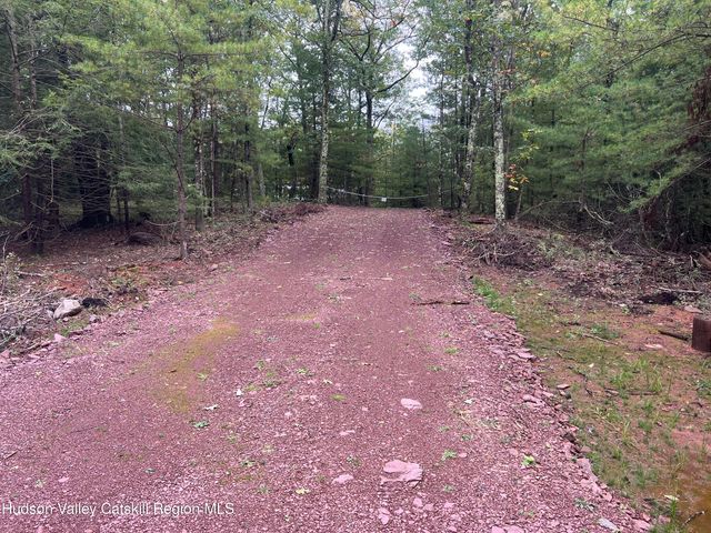 171 Renner Road, Mountain Dale, NY 12763