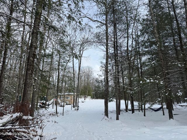 171 Renner Road, Mountain Dale, NY 12763